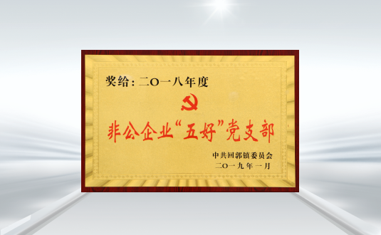 回郭鎮(zhèn)非公企業(yè)五好黨支部 