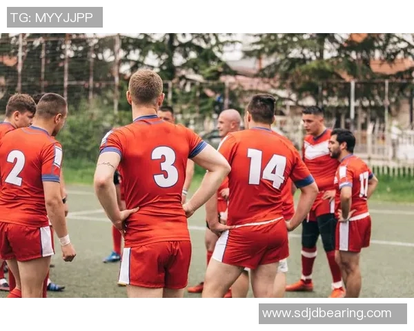 乌克兰对阵斯洛伐克精彩网络直播观看指南及赛事分析