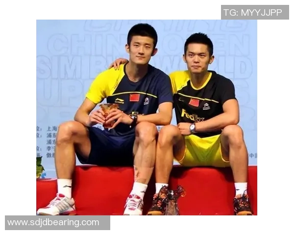 林丹与谌龙巅峰对决精彩比赛视频回顾及精彩瞬间解析