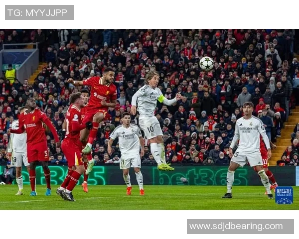 皇马与利物浦对决结果揭晓比分分析及精彩瞬间回顾