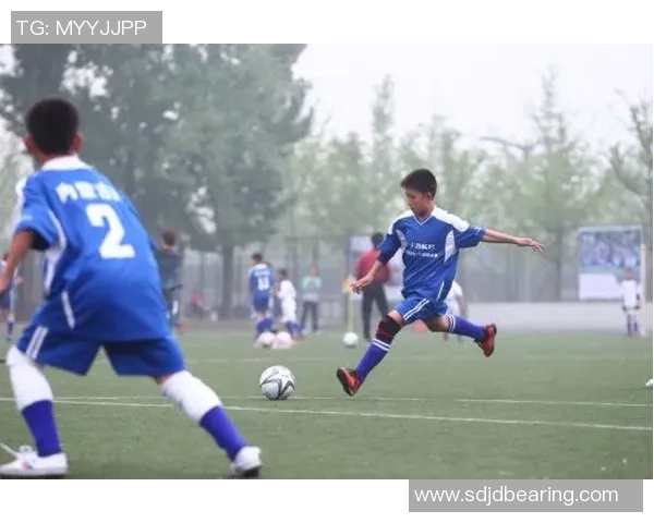 陈芳独家解析足球战术与技巧分享助你提升球技与观赛体验MBA 陈芳独家解析足球战术与技巧分享助你提升球技与观赛体验MBA