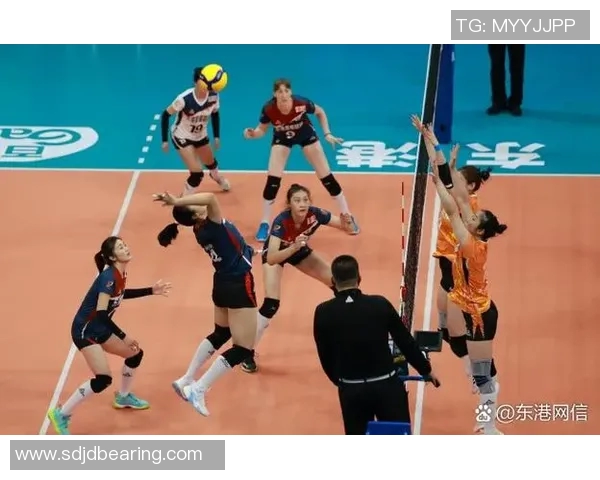 2012年辽宁女排与恒女排激战回顾：巅峰对决的荣耀与挑战