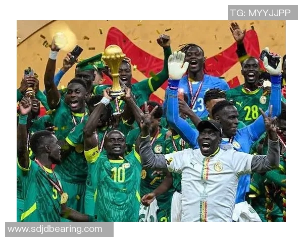 南非与塞内加尔激战在即11月11日精彩对决值得期待