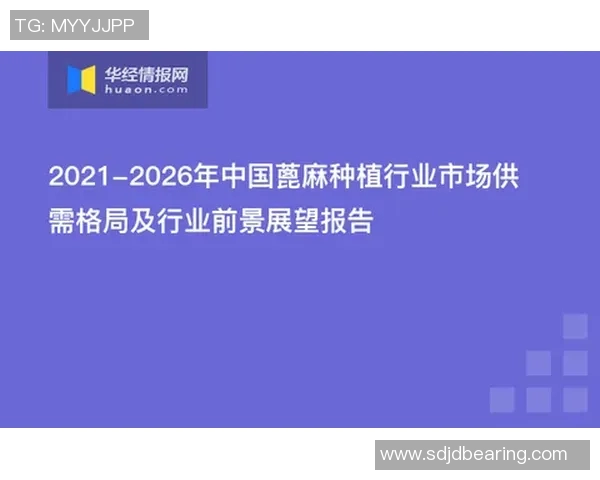 成都网球队的意识探讨与发展现状分析及未来展望