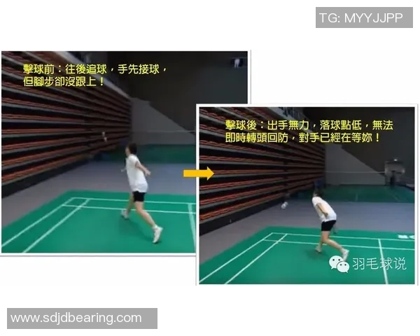 杭州羽毛球队区域防守策略分析及其在比赛中的应用探讨