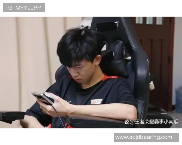 英雄联盟实力榜单更新WE战队荣登第九名展现强劲实力