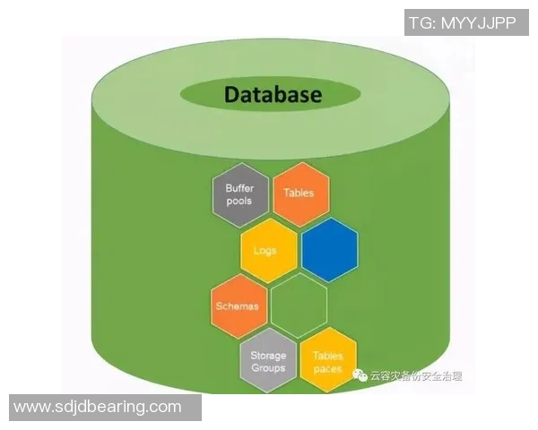 杭州羽毛球队节奏表现数据分析与策略优化探讨