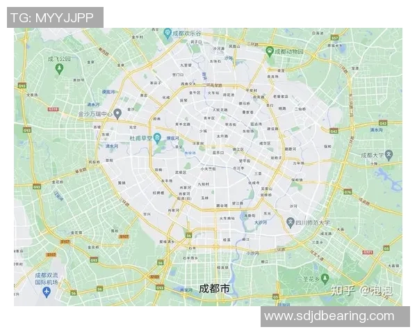 成都排球队与南京排球队对决后的深度分析与战术探讨