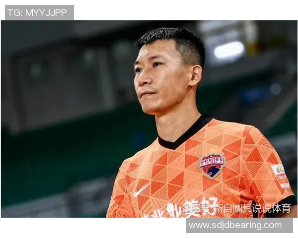 深圳篮球队个人能力分析与球队整体表现的关系探讨