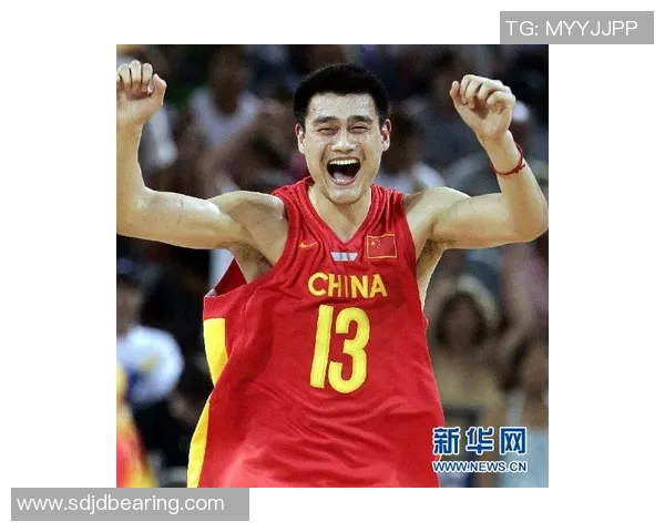 羽毛球女将赵芳的成长之路与职业生涯回顾